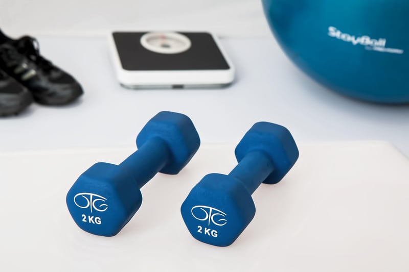 Physical Rehabilitation